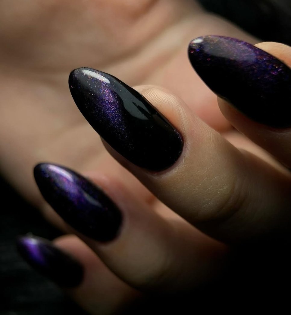 Stiletto Black Plum Cat Eye Nails for January Evenings