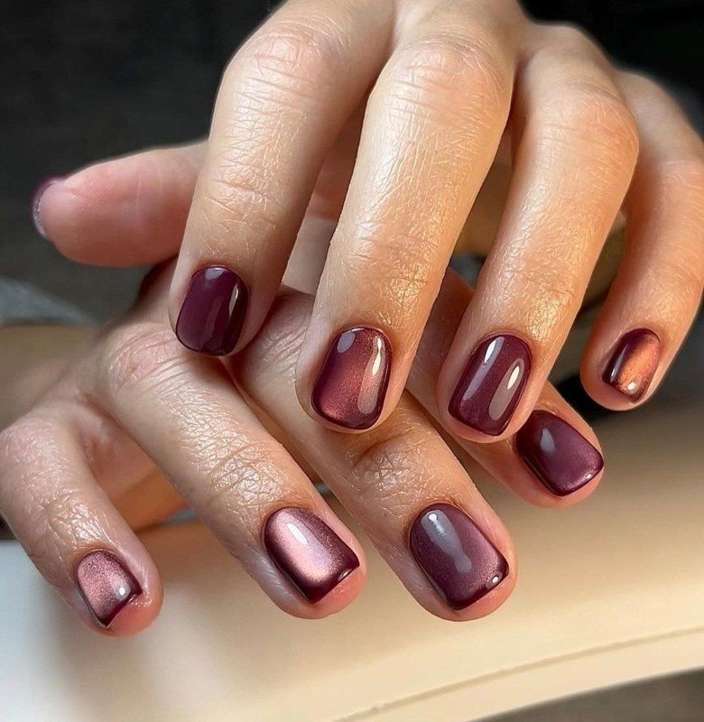 Wine Plum Cat Eye Nails for January Evenings
