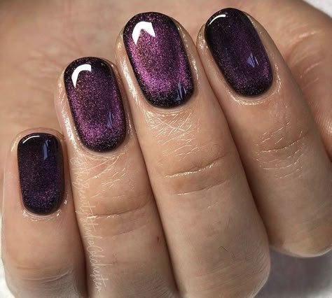 Plum Cat Eye Nails for January Evenings with a High Gloss Finish