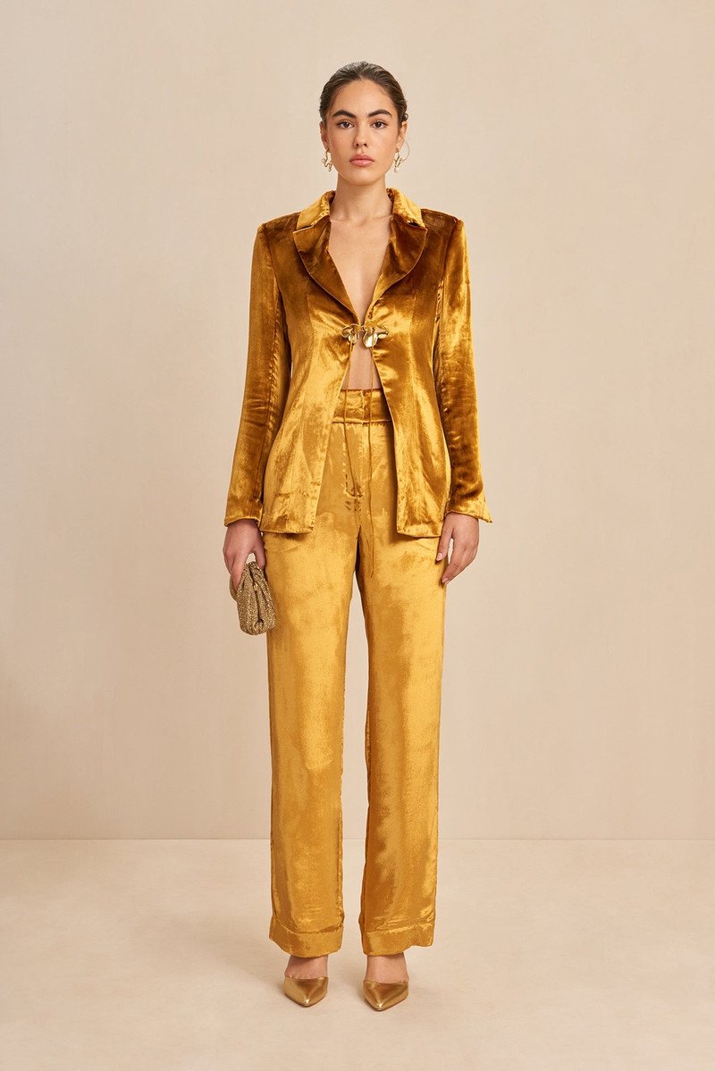 Gold Velvet Tuxedo Jacket with a Matching Gold Suit